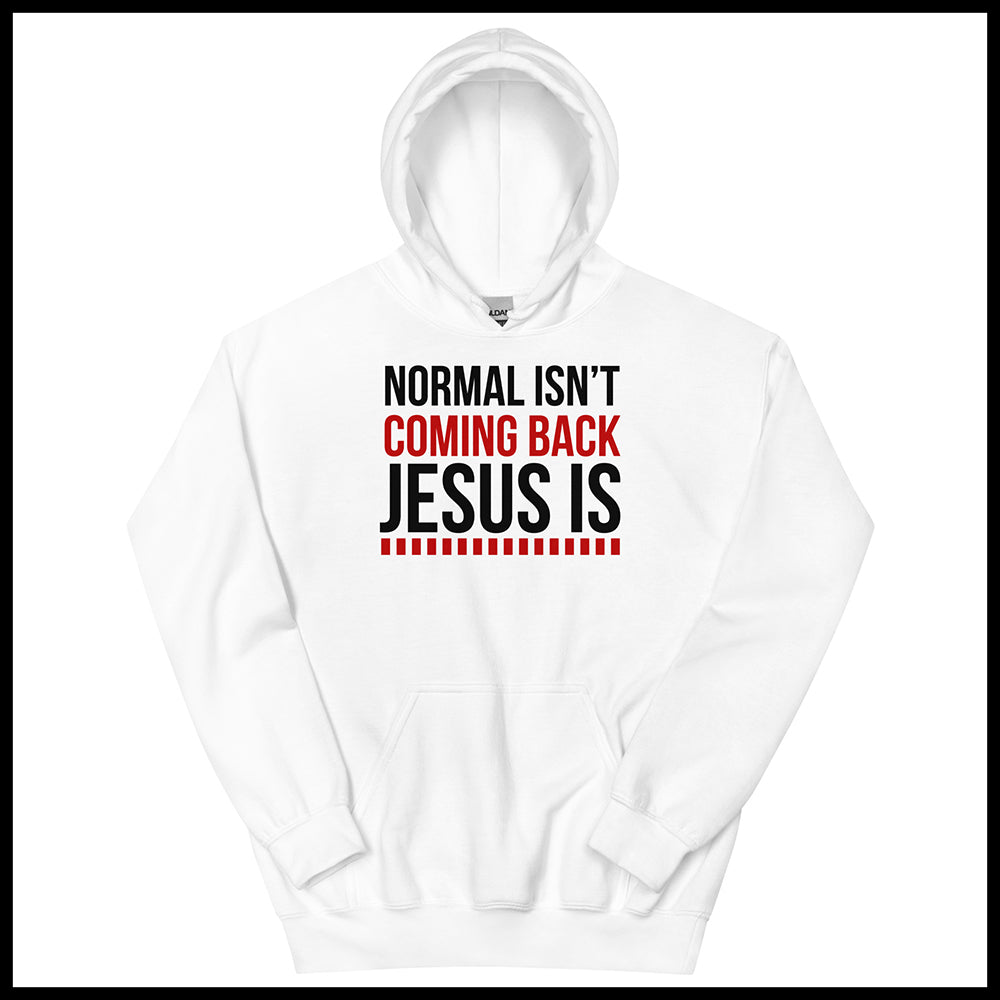 NORMAL ISN'T COMING BACK MENS FRONT AND BACK HOODIE